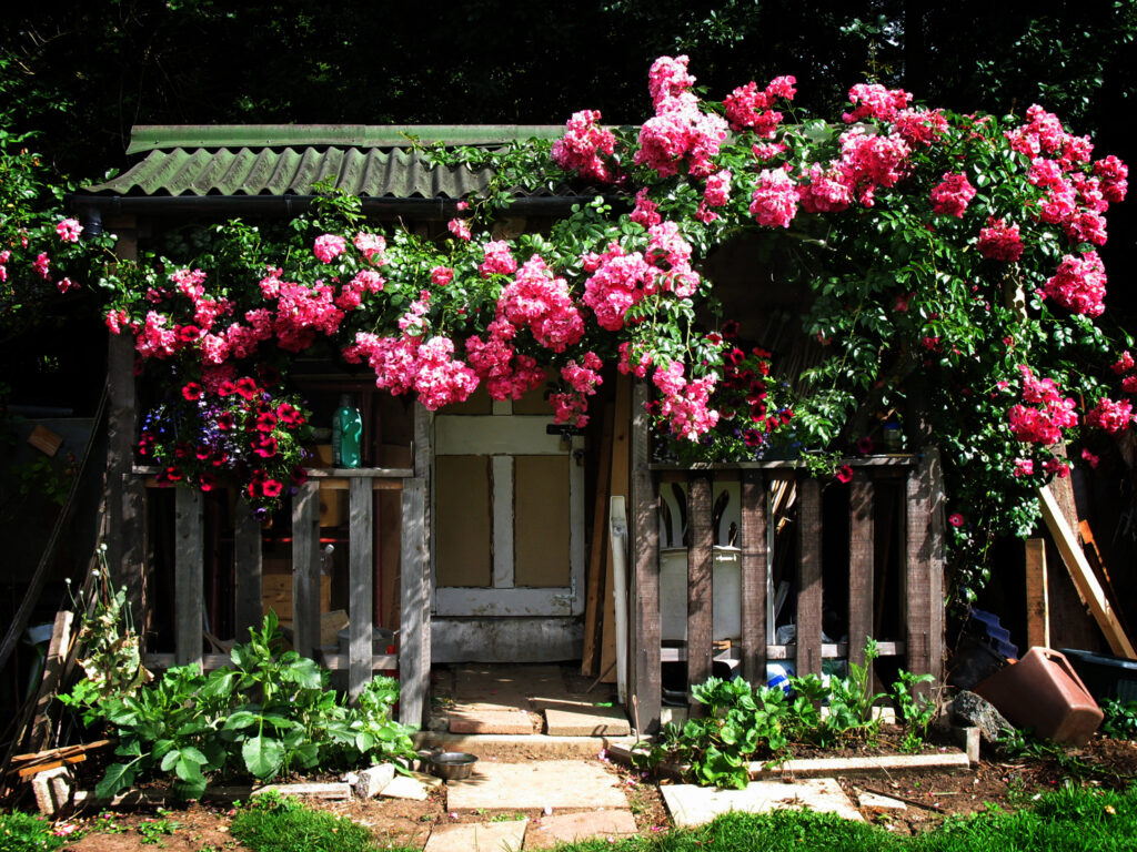 The Lowly Garden Shed