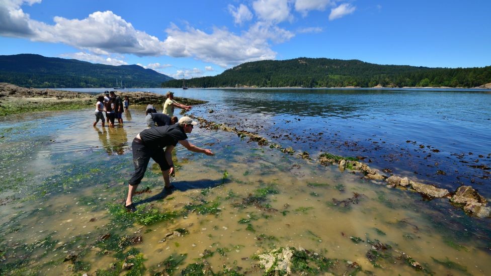 Canadian Underwater Mystery