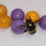 bumblebees have a ball