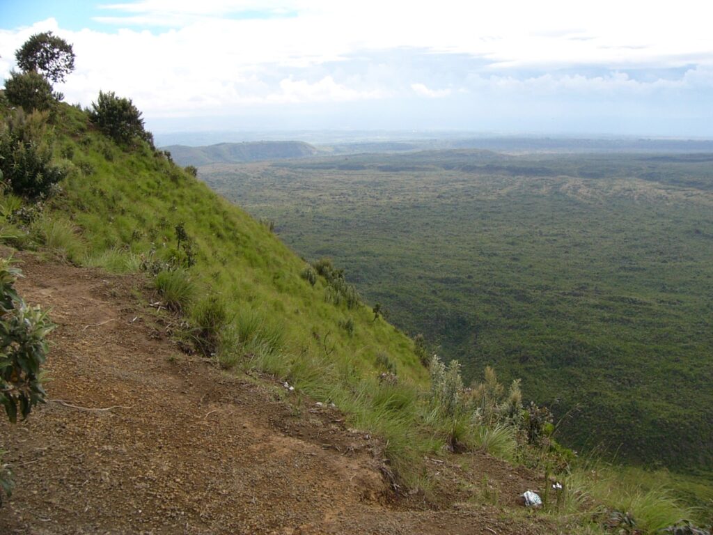 The Great Carbon Valley