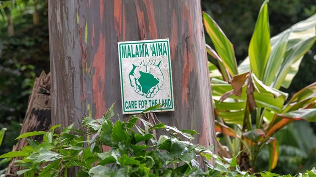 Malama