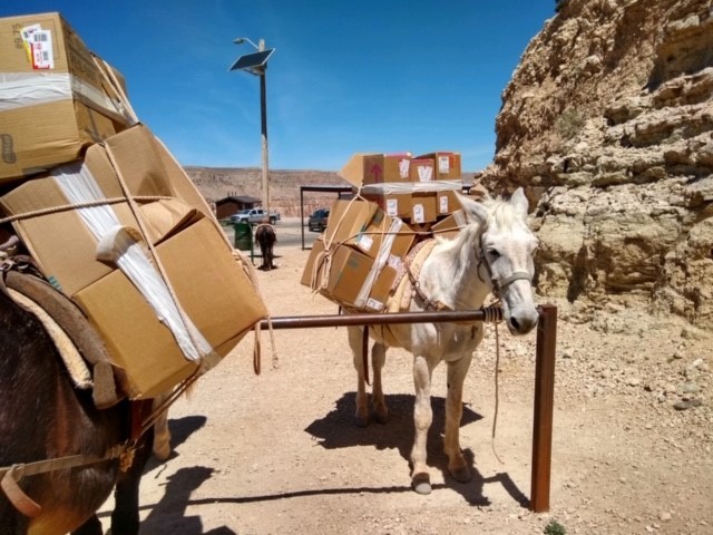 Mail by Mule