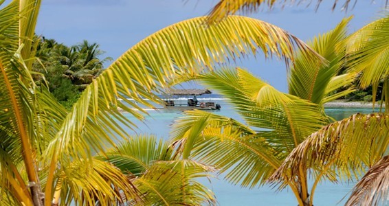 Not Hawaii
