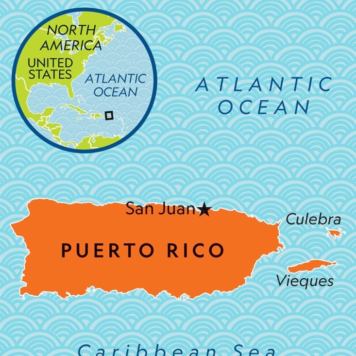 Puerto Rico versus Donald Trump