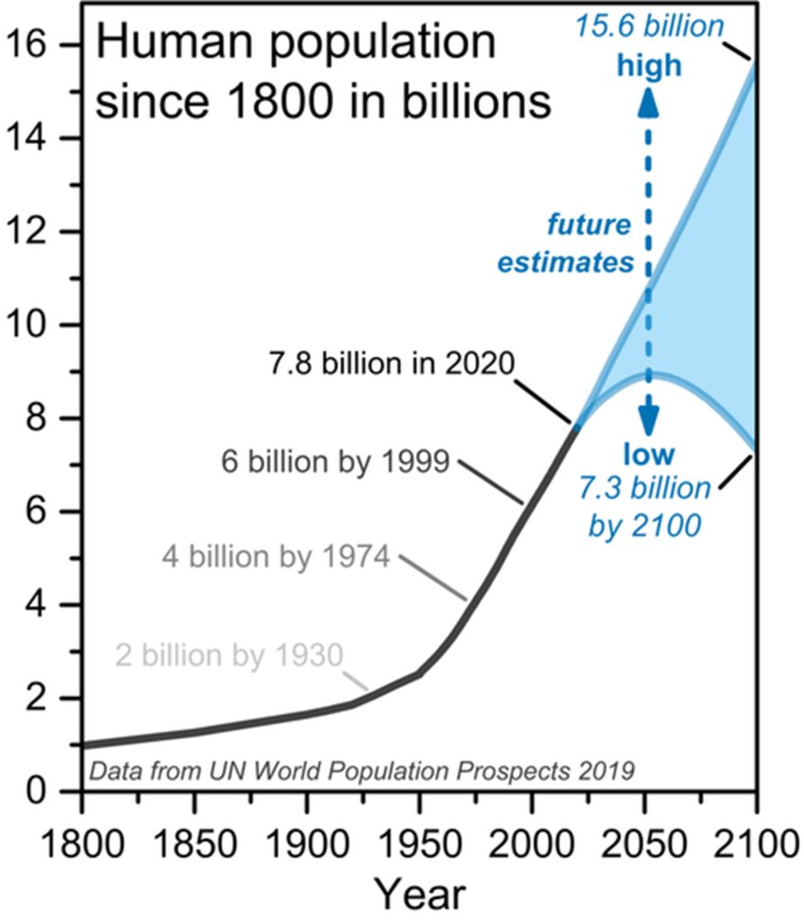 Population Growth