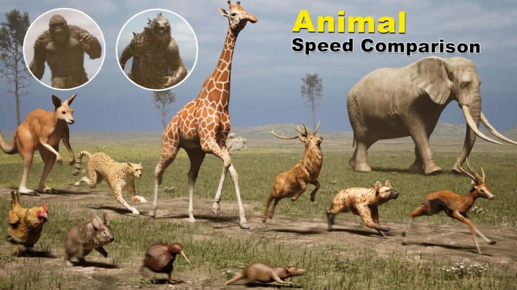 How Fast Can You Run?